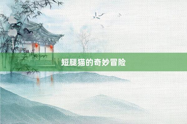 短腿猫的奇妙冒险